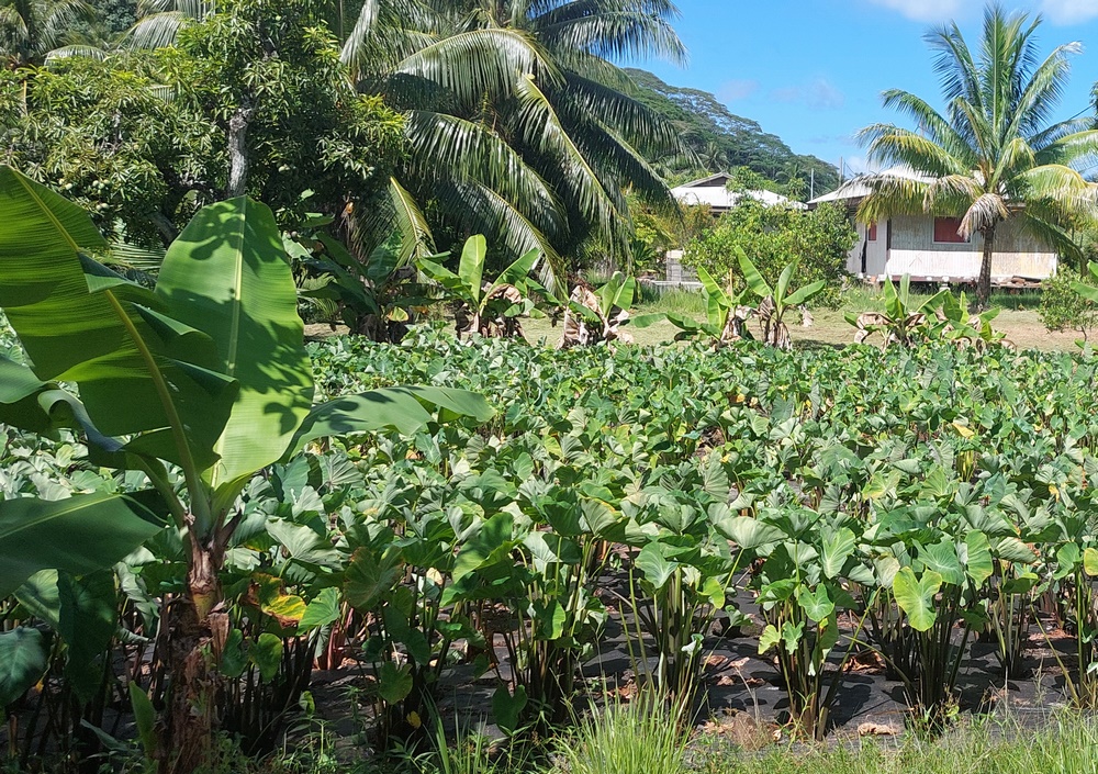 2025-02-24-P-Huahine-20250224_100521_ji.jpg